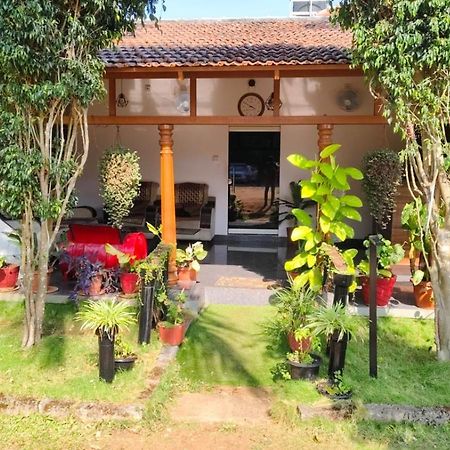Plumeria Resort Кушалнагар Экстерьер фото