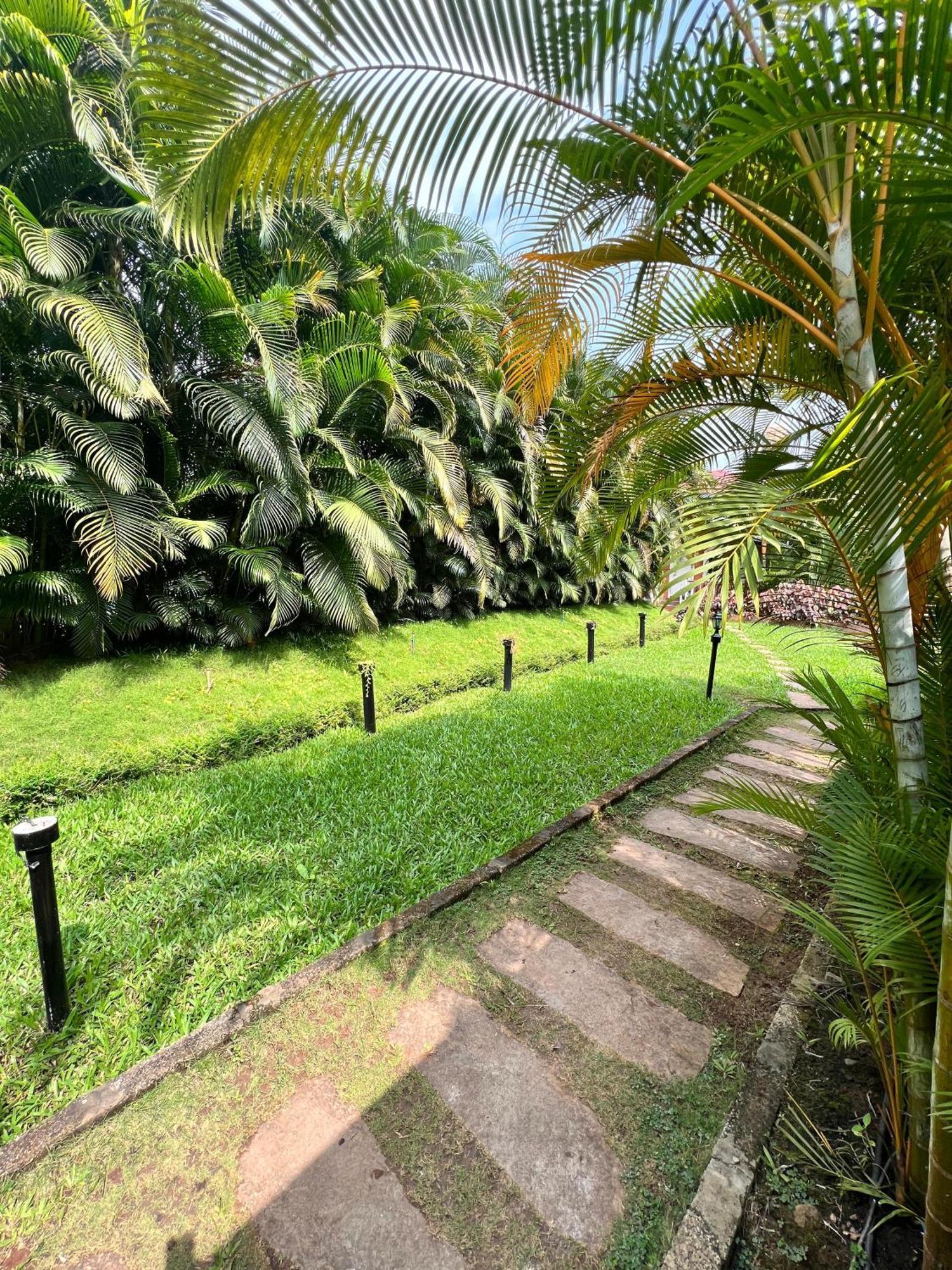 Plumeria Resort Кушалнагар Экстерьер фото